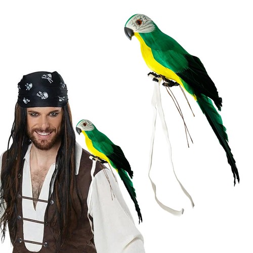 Abirdflyer pirate parrot - pirate, on
