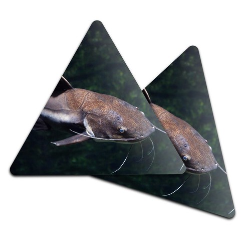 Triangle coaster redtail - coaster,