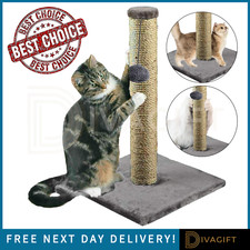 CAT SCRATCHING POST SCRATCH