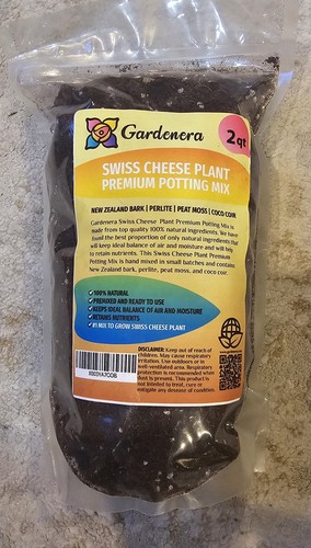 Gardenera swiss cheese plant - swiss,