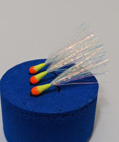 Cats whisker fly - x,