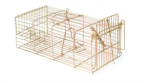 Racan cage rat trap humane - racan,