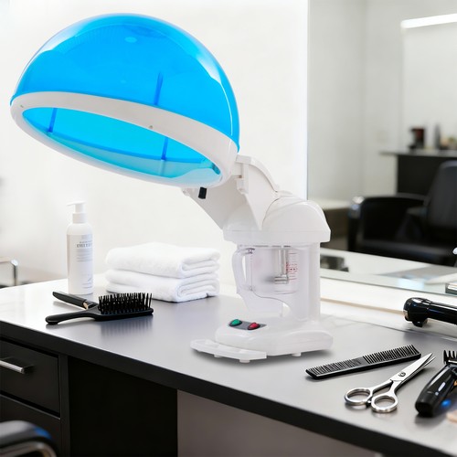 Hair steamer hooded ozone - hair,