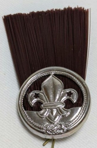 Boy scout hat feather pin - boy,