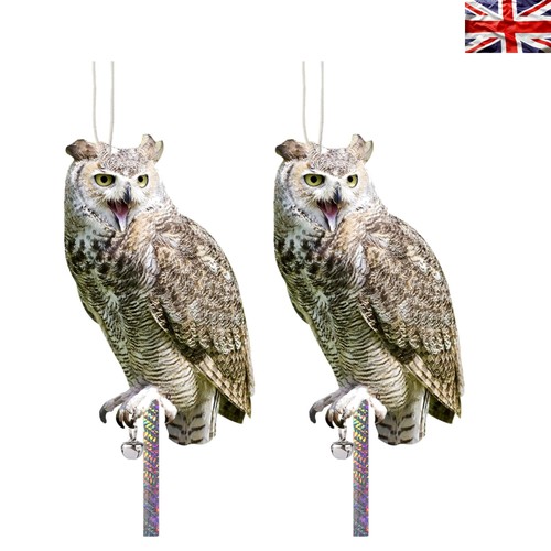 Weatherproof owl bird - owl,