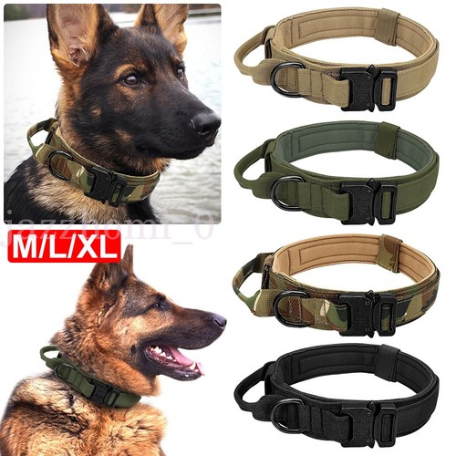 Tactical dog collar - dog,