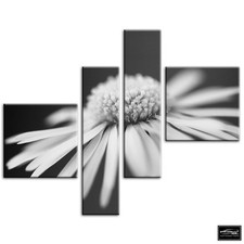 Flowers BOTANICAL   Floral BOX FRAMED CANVAS ART Picture HDR 280gsm