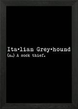 Greyhound A Sock Thief Framed