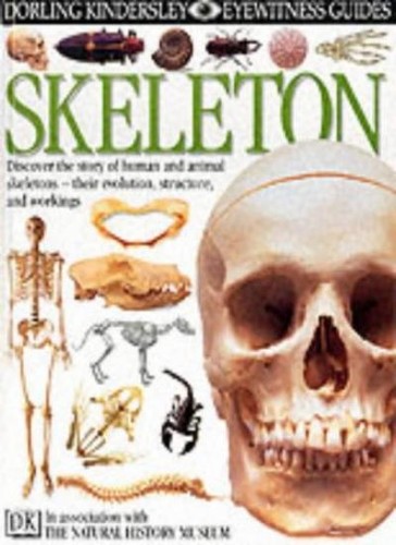 Skeleton - , guides)