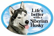 Fun Dog Magnet - Life's Better