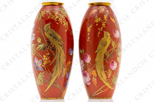 Pair birds paradise - of,