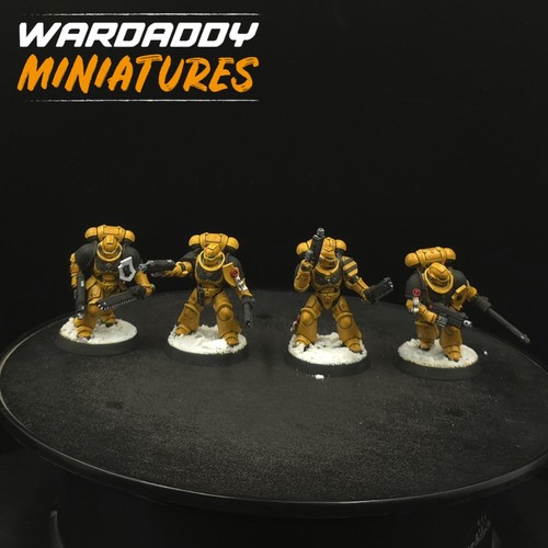 Pro painted warhammer - painted,