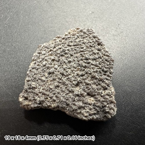 Titanosaur dinosaur eggshell