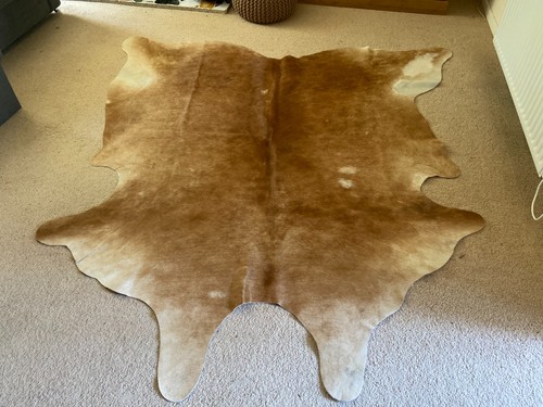 Extra large ikea cow - extra,