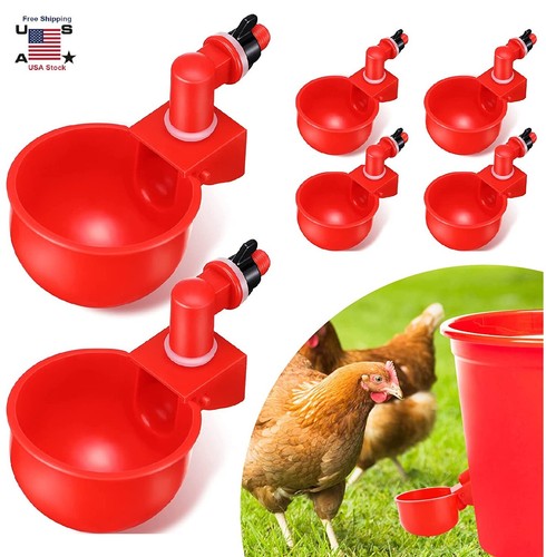 Automatic poultry drinking - 6×,