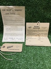Rare Webb Wasp Whippet Lawn