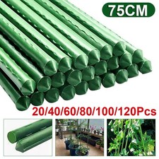 20-120PCS 75CM Garden Plant