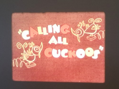 Calling all cuckoos 1956 - cuckoos, woody