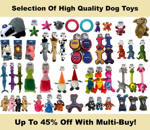 The pet store quality dog - pet,