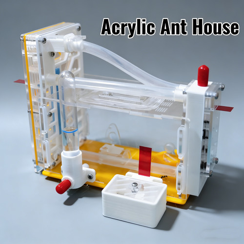 Acrylic ant house farm - ant,