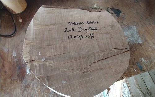 Spalted beech bowl blank - beech,