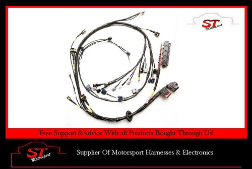 Efi euro ecu engine harness - 4,