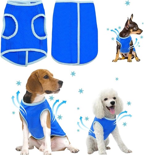 Breathable dog cooling vest - dog,