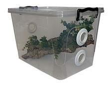 Large Multi Vented  Insect Cage  - Ideal For Land Snails Stick Insects etc