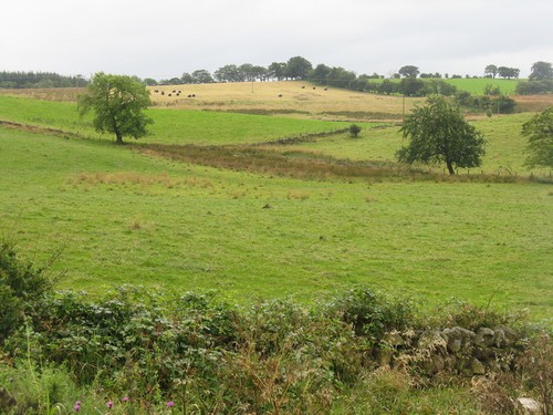 Photo silage bales and - photo,