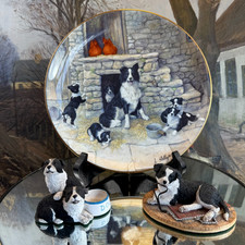 Border Fine Arts Border Collie