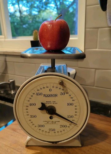 Vtg hanson dietetic scale - vtg,