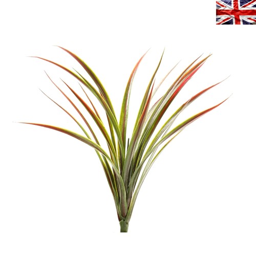 Resistant 45cm yucca - uv,