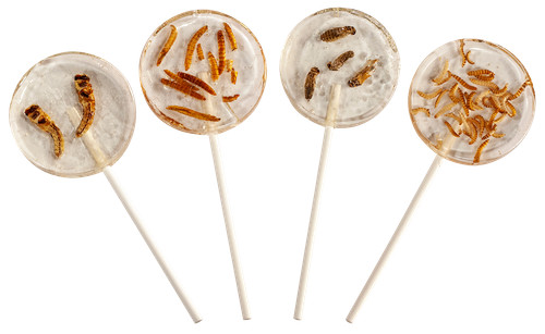 Crunchy critters edible - crunchy,
