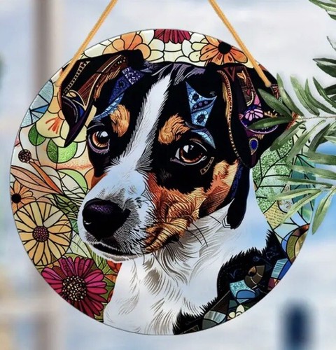 Jack russell terrier - russell, lover