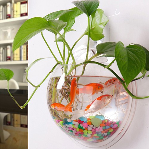 Wall hanging fish bowl - wall-hanging,