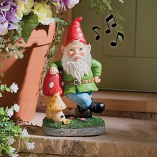 Motion Sensor Whistling Garden