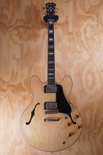 Washburn semi hollow - washburn, semi-hollow