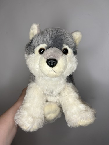 Destination nation husky wolf - husky,