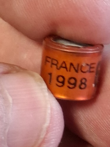 Pigeon ring france 98 - pigeon,