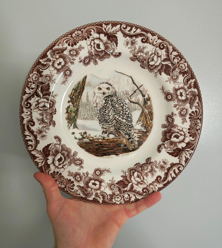 Rare spode woodland - rare,