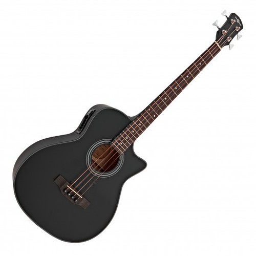 Electro acoustic bass - electro,