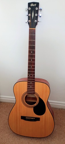 Accustic guitar - accustic,