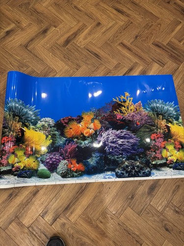 Aquarium fish tank background - aquarium,