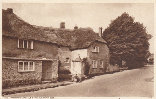 The shepherd cottage - the,