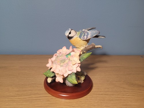 Border fine arts birds - border,