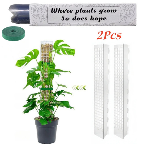 Moss pole plant - pole,