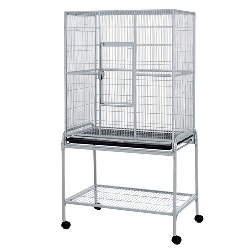 Birds rats chinchillas flight - chinchillas,