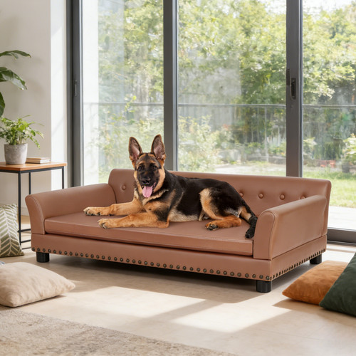 Xxl large leather pet - large, dog
