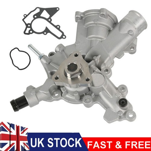 Water pump gasket - pump, 1334145