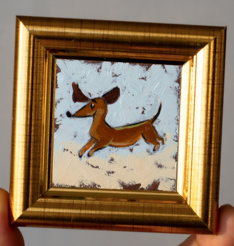 Tiny dachshund wiener dog - tiny,